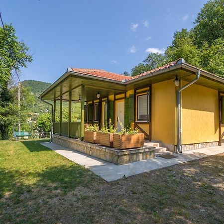 Vila Camelia Golubac Dış mekan fotoğraf