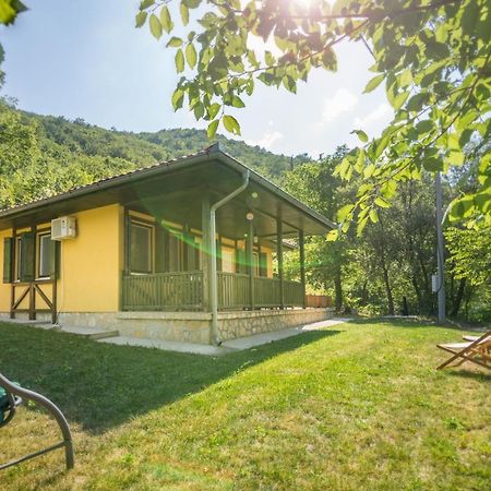 Vila Camelia Golubac Dış mekan fotoğraf