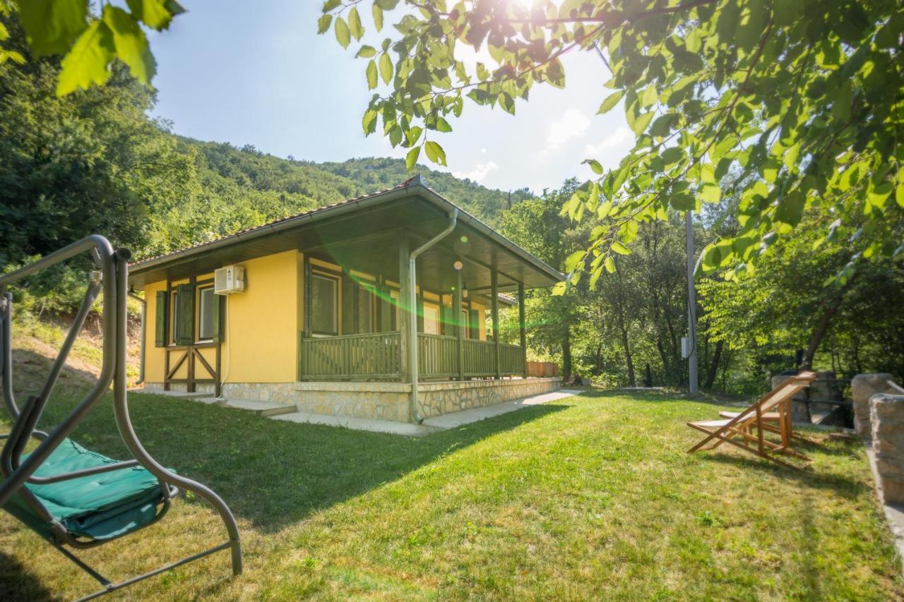 Vila Camelia Golubac Dış mekan fotoğraf