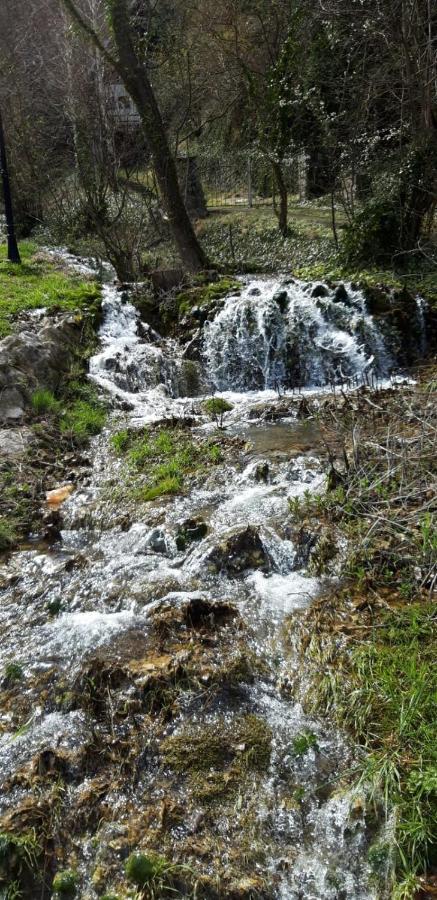 Vila Camelia Golubac Dış mekan fotoğraf