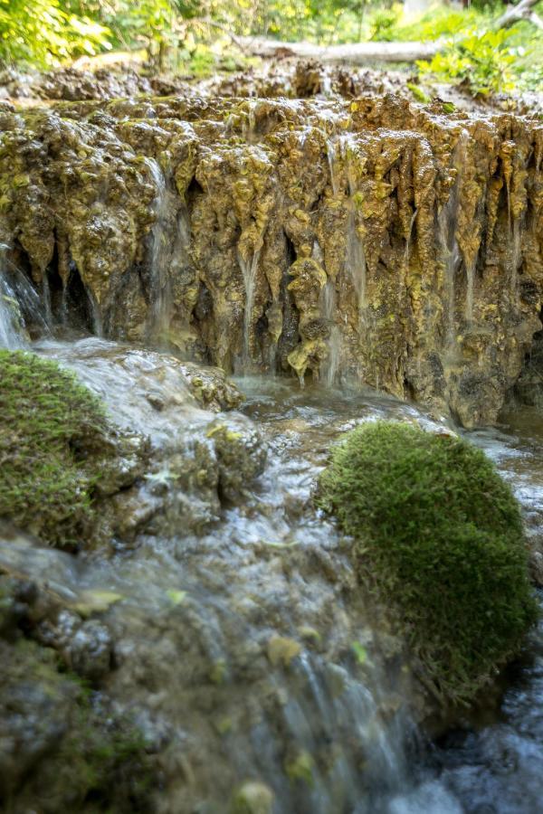 Vila Camelia Golubac Dış mekan fotoğraf