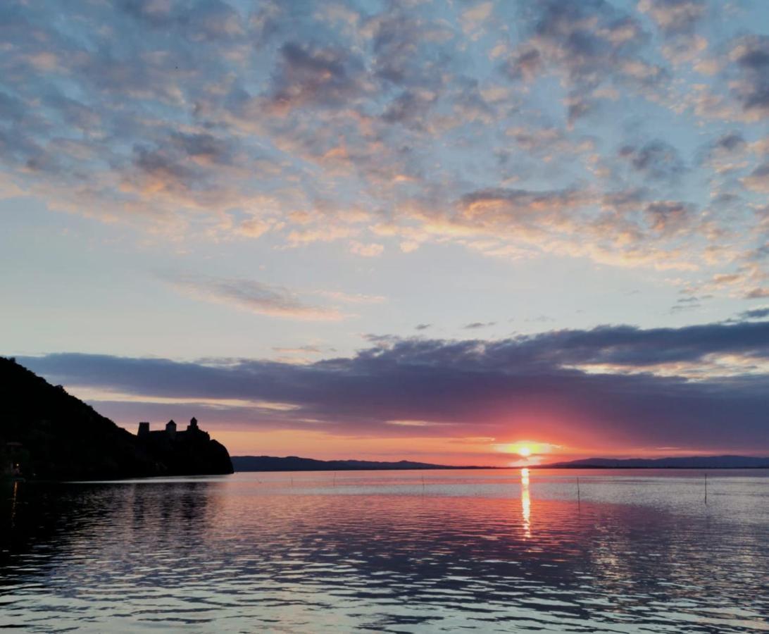 Vila Camelia Golubac Dış mekan fotoğraf